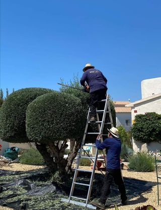 Jardinero económico 