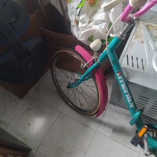 Bicicleta vintage 