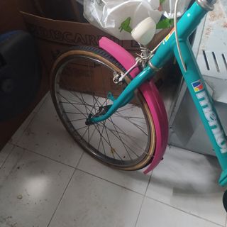 Bicicleta vintage 