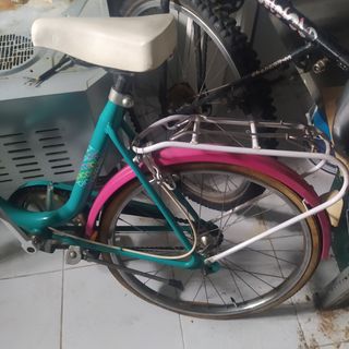 Bicicleta vintage 