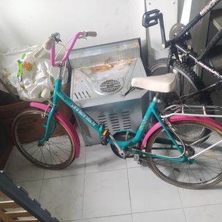 Bicicleta vintage 
