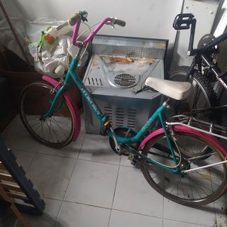 Bicicleta vintage 