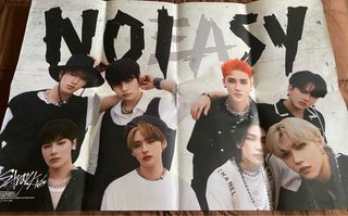 Stray Kids NOEASY edición limitada/Preorder