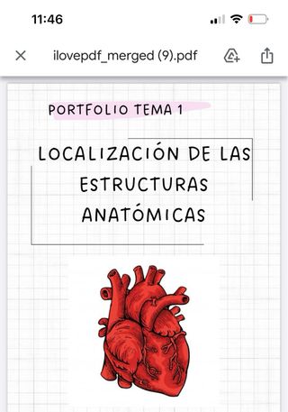 Apuntes anatomia por la imagen