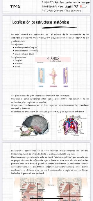 Apuntes anatomia por la imagen