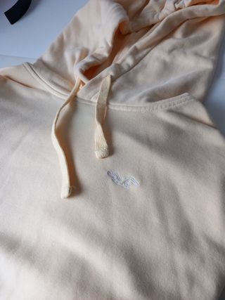 Sudadera hollister 