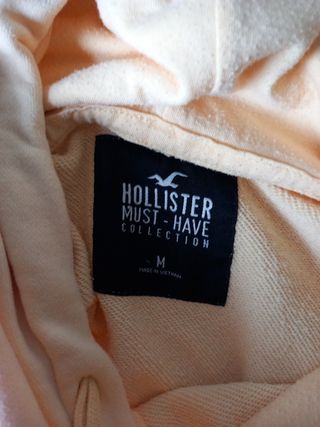 Sudadera hollister 