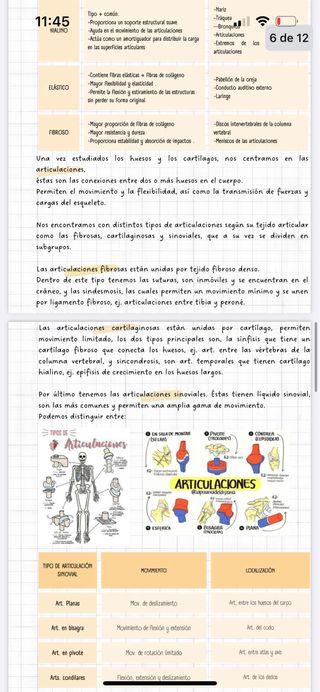 Apuntes anatomia por la imagen