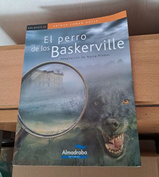 Libros LECTURA ESCOLAR LENGUA CASTELLANA colegio