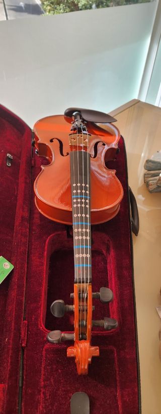 Violin