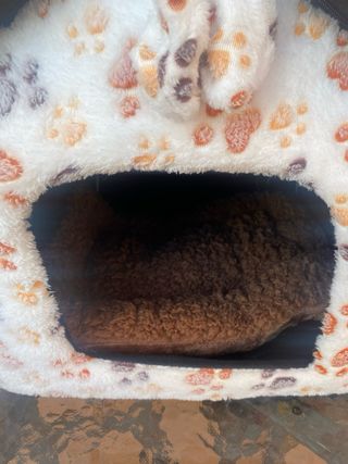 Casita preciosa a estenar de perrito o gato
