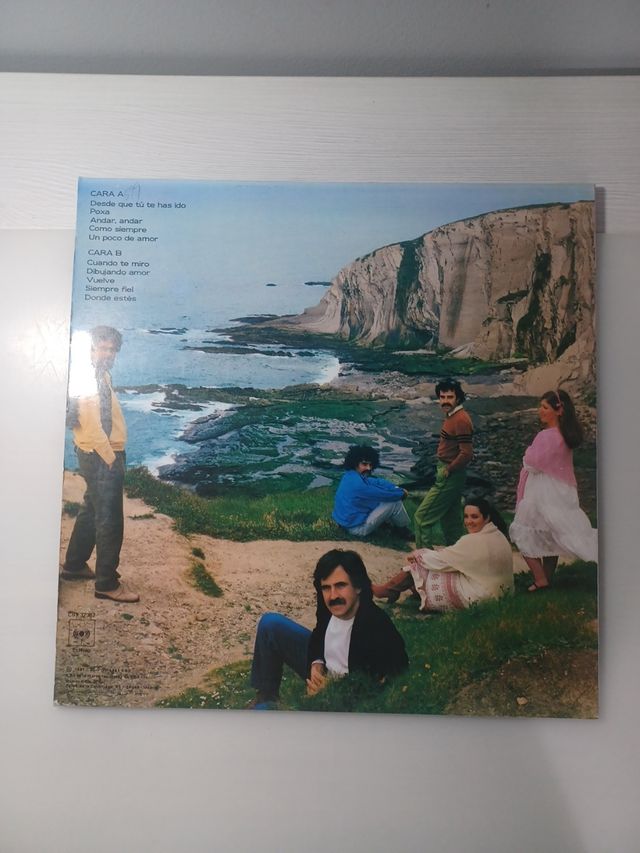 Vinilo "Desde que tu te has ido"