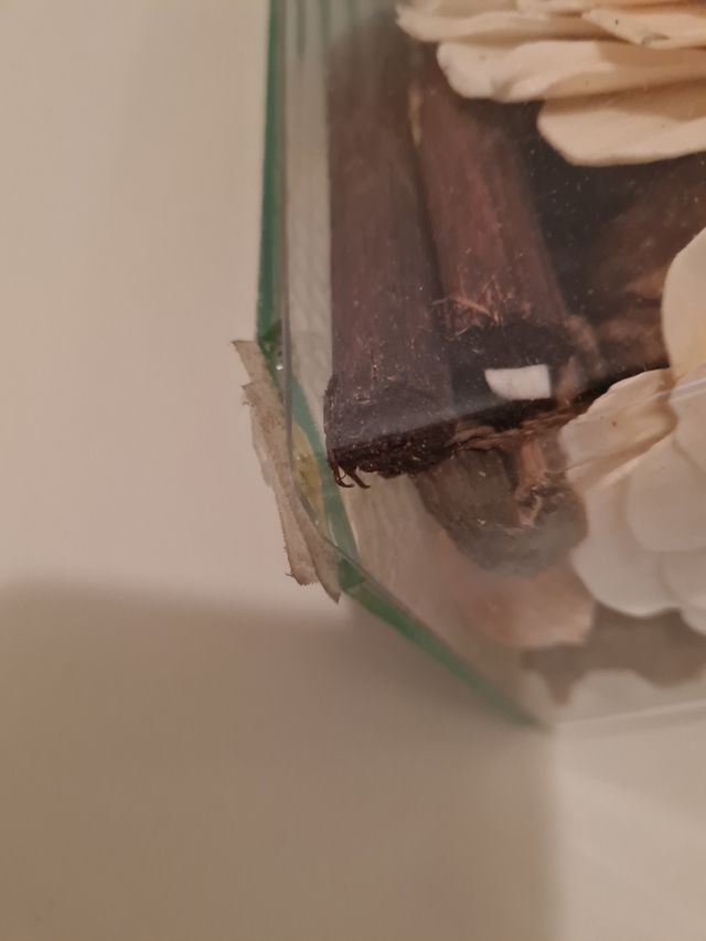 Centro de flores secas