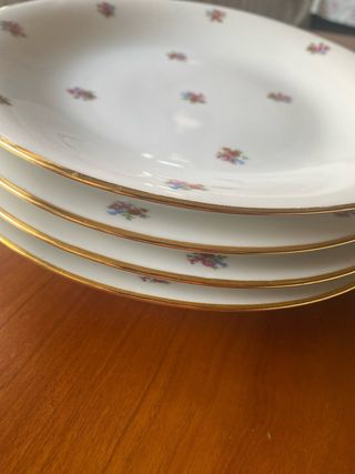 PLATOS ANTIGUOS PORCELANA FRANCESA LIMOGES