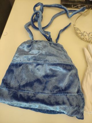 Disfraz princesa adulto