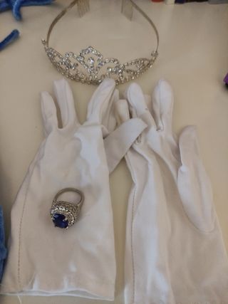 Disfraz princesa adulto