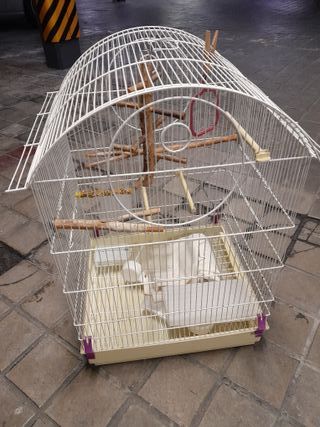 Jaula grande pájaros blanca