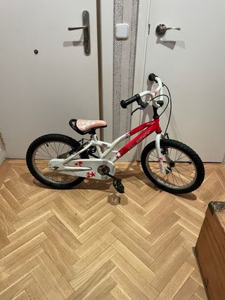 Bici Monty 104