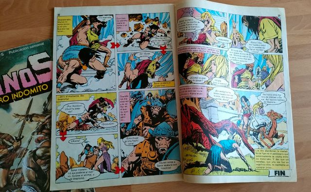 Pack 2 Comics MANOS Guerrero Indómito