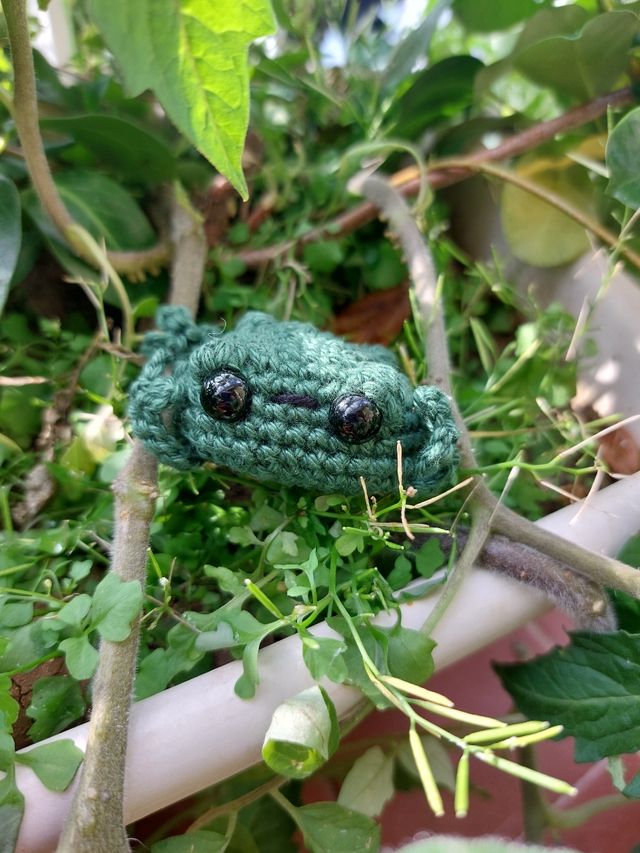 Piccola rana cetriolo amigurumi