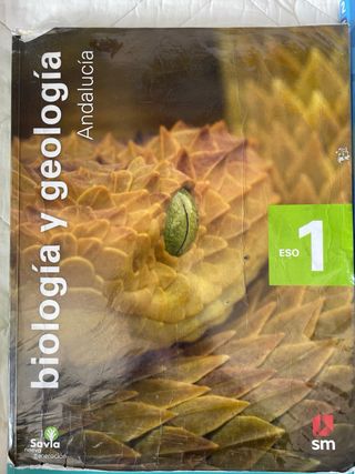 Biología y geología. 1 ESO.