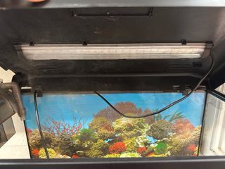 Acuario/ pecera54x29x34