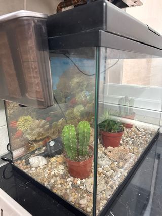 Acuario/ pecera54x29x34