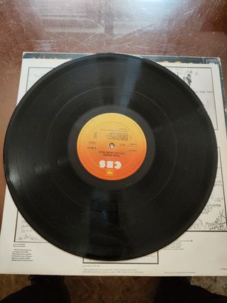 Vinilo. Nina hagen. Lp