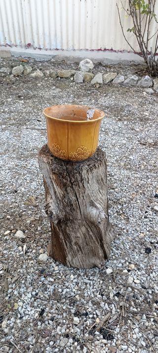 2 Troncos Decoración Rústica