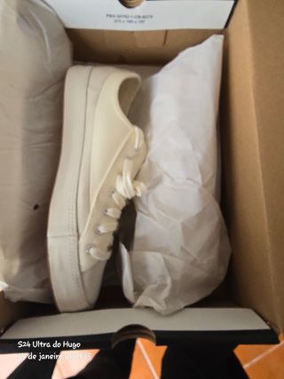 Converse Allstar Sasha Ox 