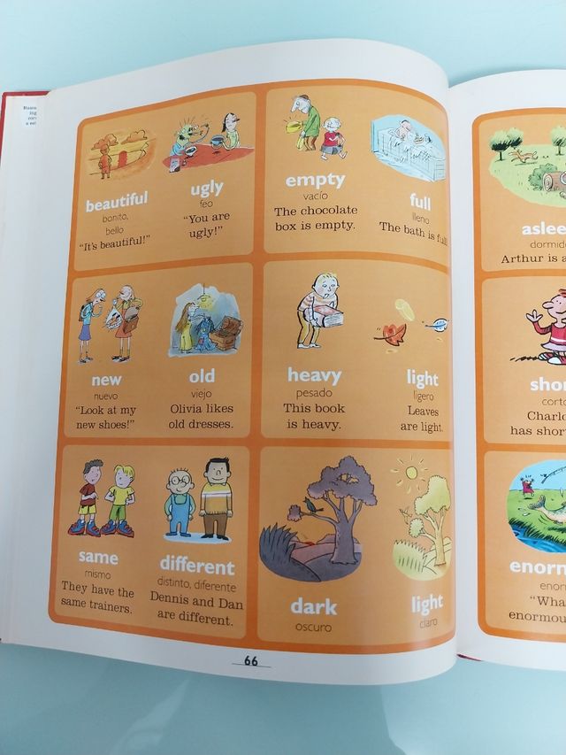 Mi primer Larousse de Inglés (Spanish Edition)