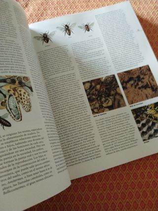 Enciclopedia de la Naturaleza