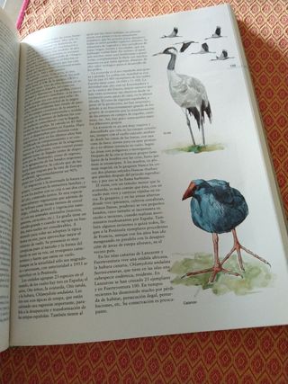Enciclopedia de la Naturaleza