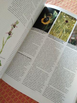 Enciclopedia de la Naturaleza