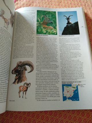 Enciclopedia de la Naturaleza