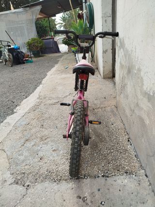 Monty de niña