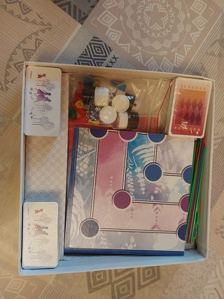 Gioco da tavolo frozen II