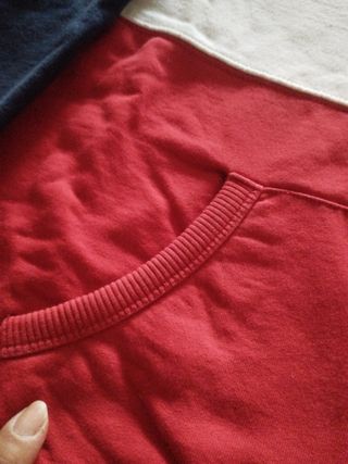 Sudadera tricolor Franklin