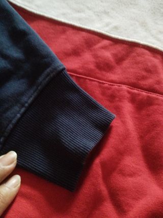 Sudadera tricolor Franklin