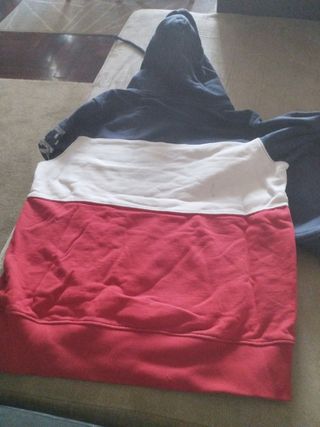 Sudadera tricolor Franklin