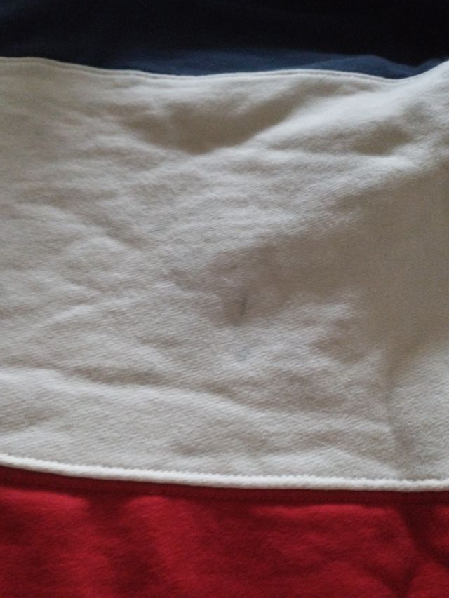 Sudadera tricolor Franklin