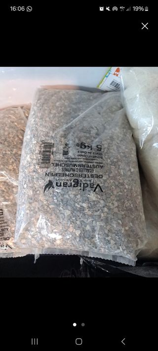 20kg Conchilla ostras