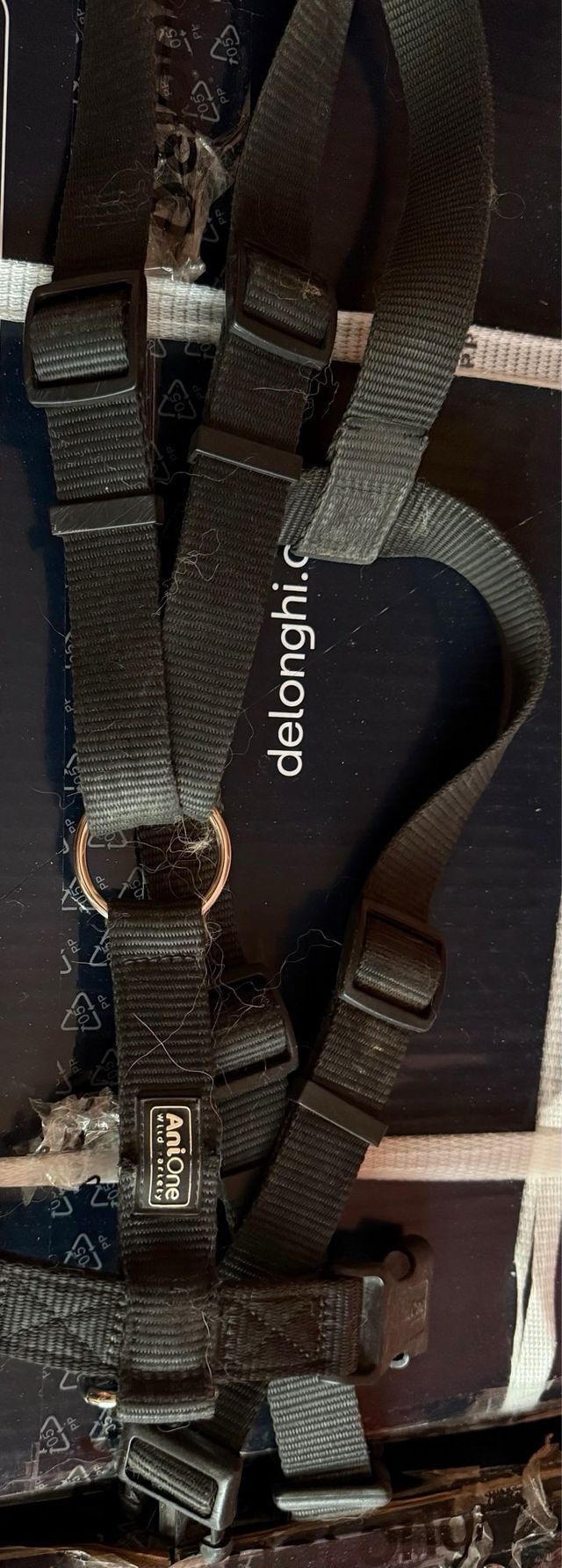 Vari accessori per cani