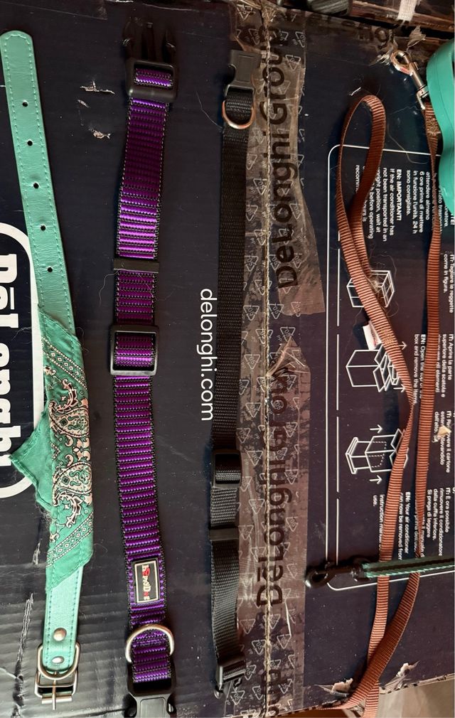 Vari accessori per cani