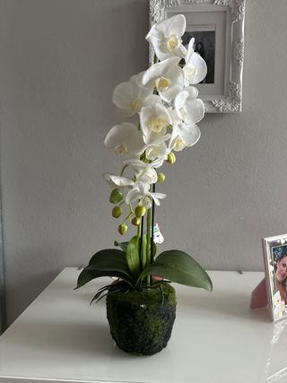 Pianta finta orchidee