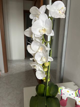 Pianta finta orchidee