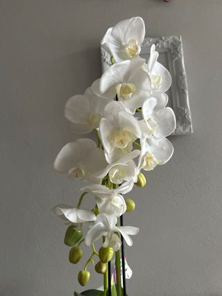 Pianta finta orchidee