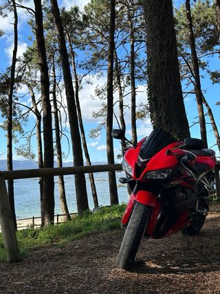 Honda CBR 600 RR 2008 