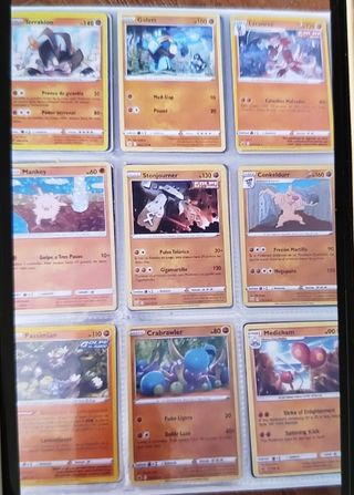 Cartas Pokemon, verdaderas. TM
