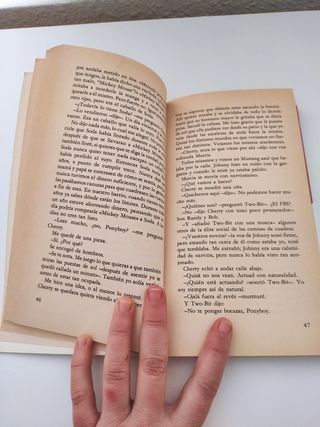 Rebeldes. Susan E. Hiton